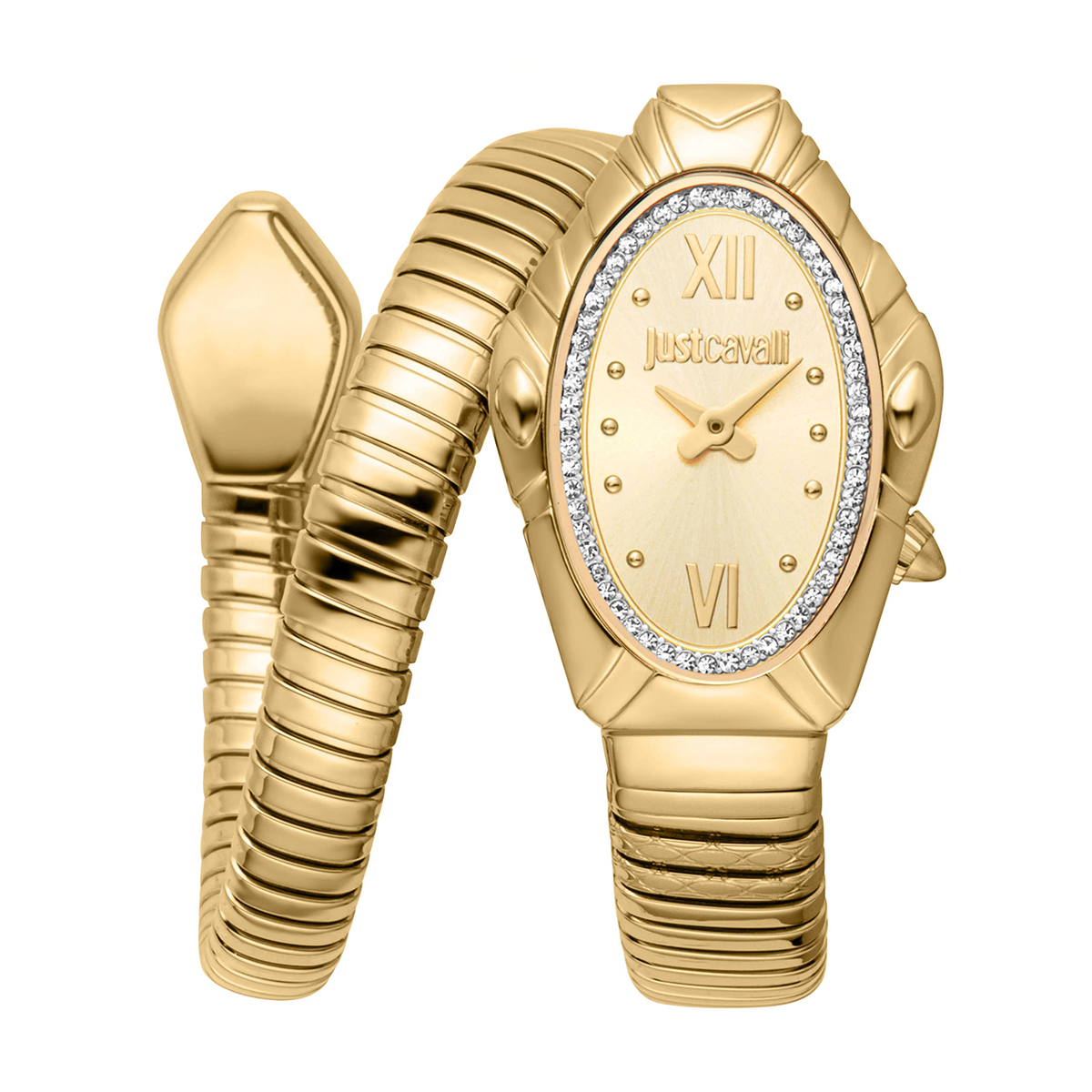 MONTRE JUST CAVALI FEMME SIMPLE ACIER